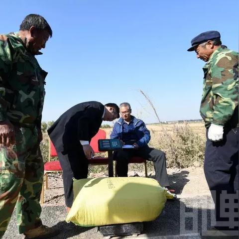 河北邯郸市永年区土壤是哪种土壤的长尾关键词有哪些