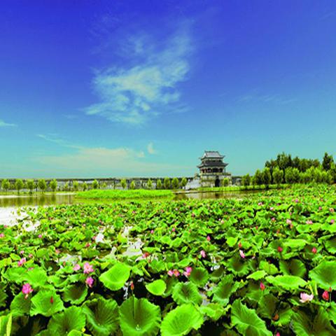 武汉市沙湖是哪个区管的