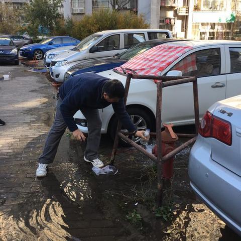 天津彩丽园怎么样