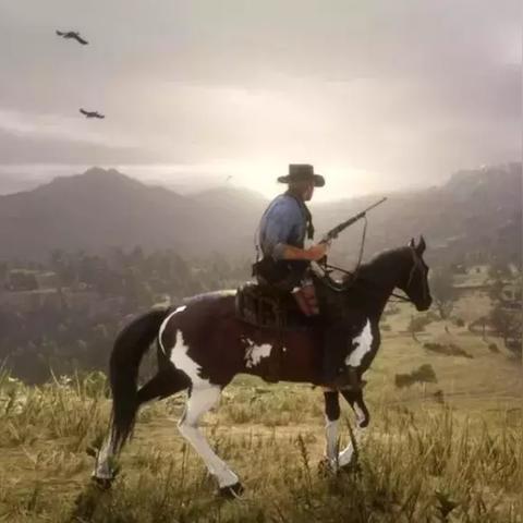 red dead redemption2（Red Dead Redemption 2，荒野之息的续篇）