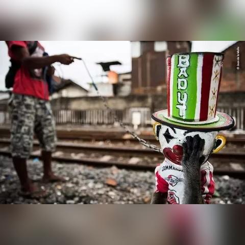 印尼直播软件的长尾关键词是什么