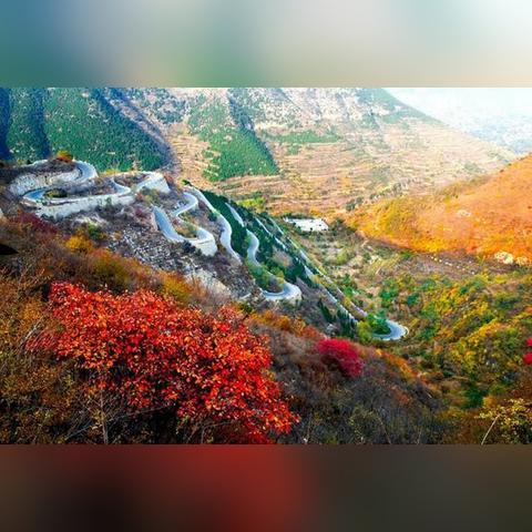 潍坊市哪里植被多