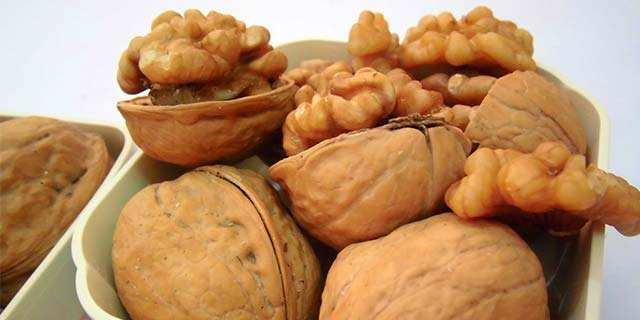 鱼胆为什么会有毒