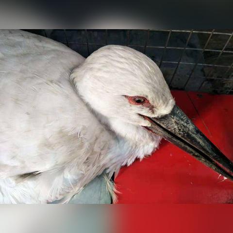 沈阳警研教育相关长尾关键词有哪些