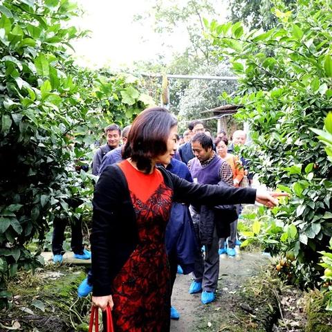 深圳市芯科控技术有限公司怎么样？