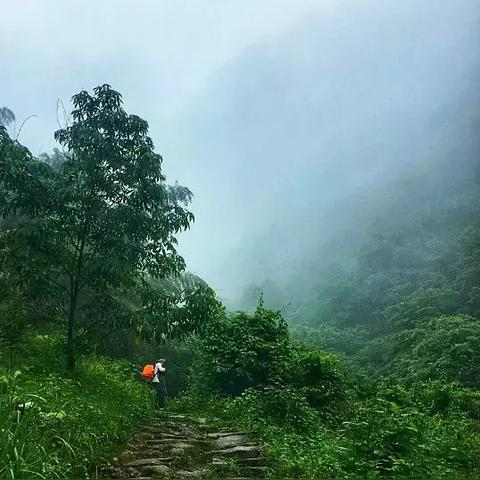 桂林市苍松路在什么位置