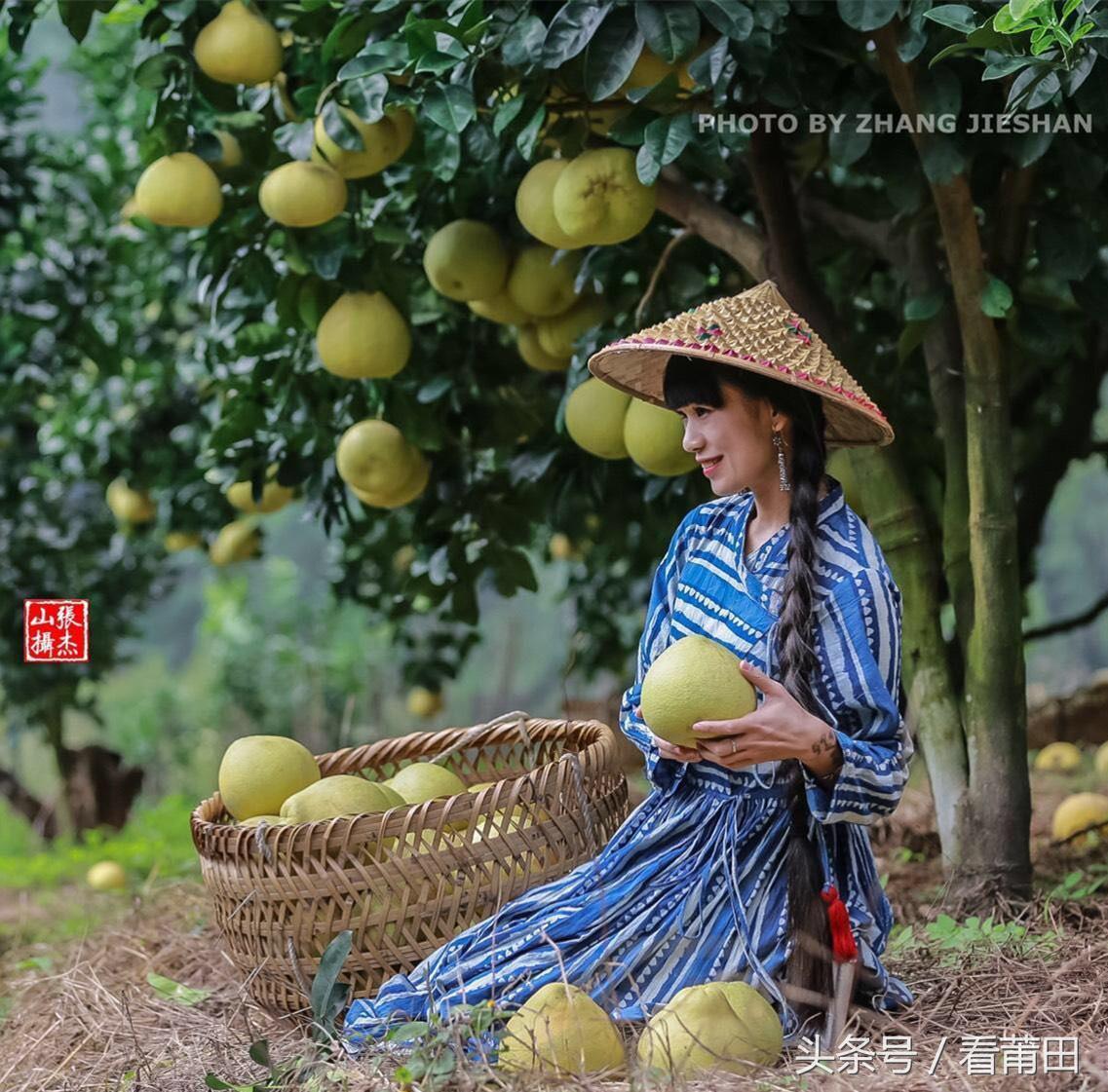 柚宝宝起名怎么样（柚子的一种）