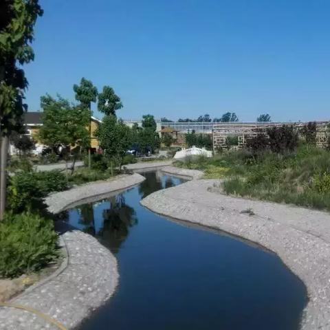 南宁市鲤鱼湾温泉怎么走