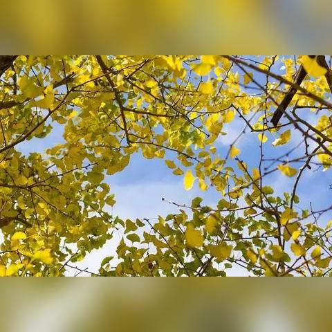 桂林 北极广场相关长尾关键词有哪些