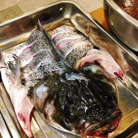 长春市药用牛蛙多少钱