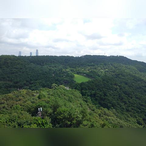 南宁府志的相关长尾关键词有哪些