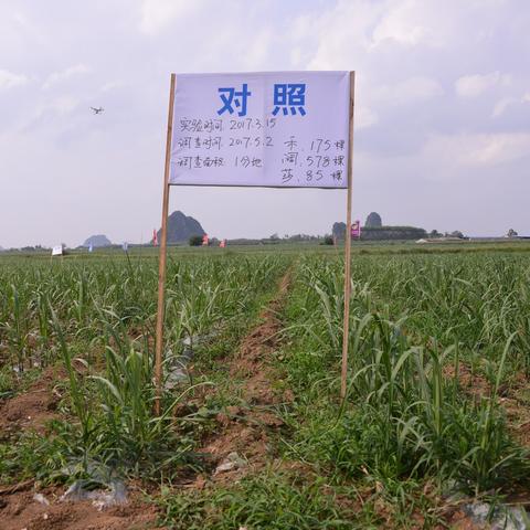 坛洛镇到南宁飞机场有汽车吗？