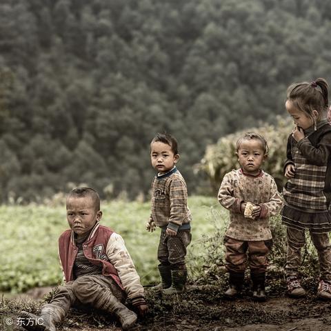 父母运好不好？紫微斗数教你读懂家里那座山