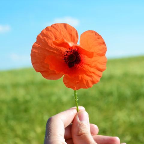 企业励志名言名句大全的长尾关键词有哪些