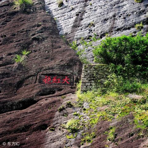 福建茶哪个最好喝