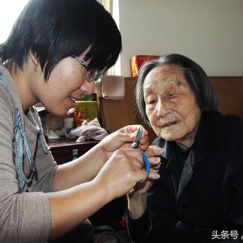 石家庄市孝心到家是什么