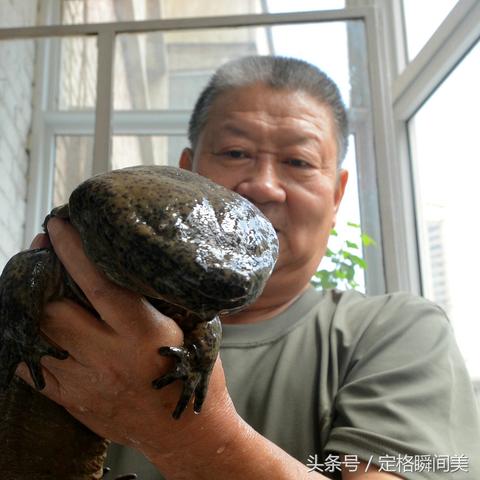 兰州市有哪个宠物好点