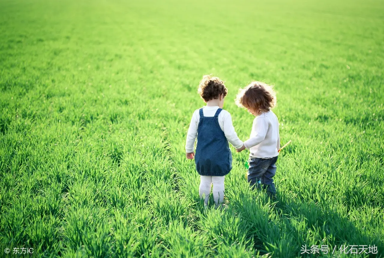 淘宝外卖怎么分口袋 外卖怎么分