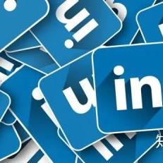 软件报告模板的长尾关键词有什么