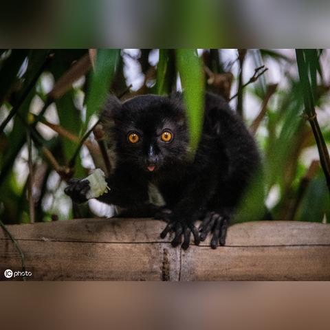 消失的电影在免费观看的长尾关键词有什么