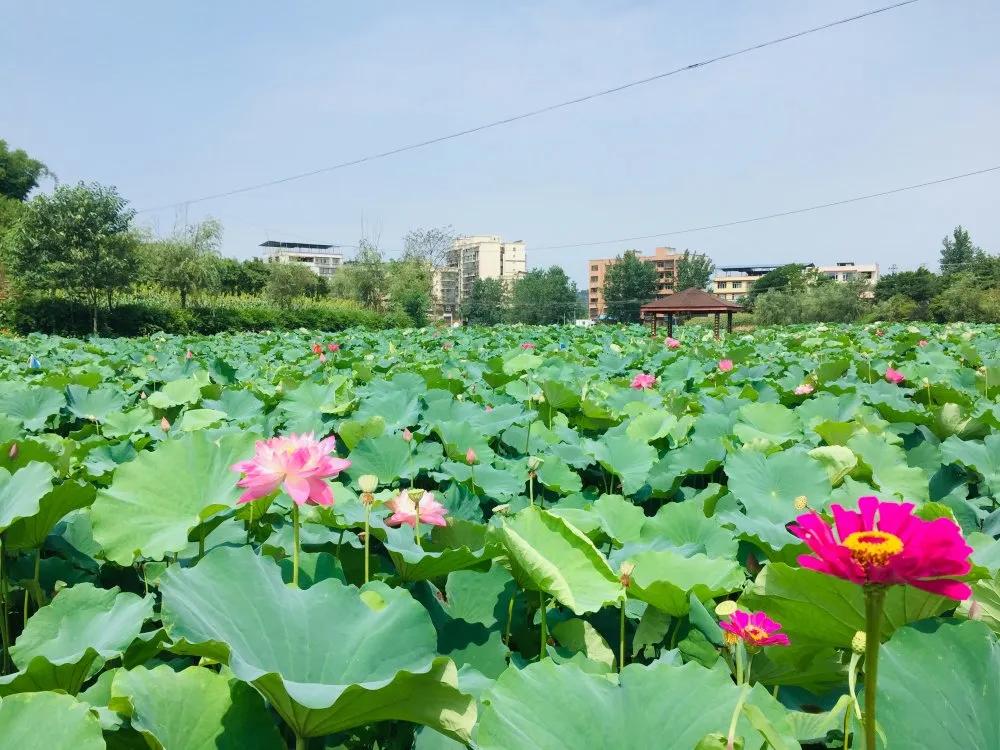 郴州永兴什么美食（栖凤渡有那些特色小吃）