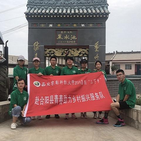 河南小麦收购商的相关长尾关键词有哪些