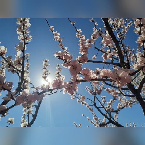 大连到桂林多少公里相关长尾关键词有哪些