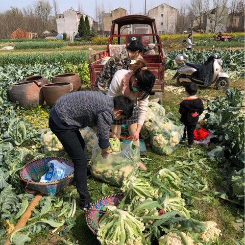 我想在武汉批发蔬菜不知道哪里便宜最好？