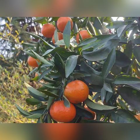 重庆淋之源酒店怎么样