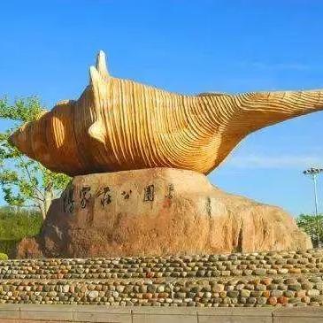 大连市动物园是什么企业