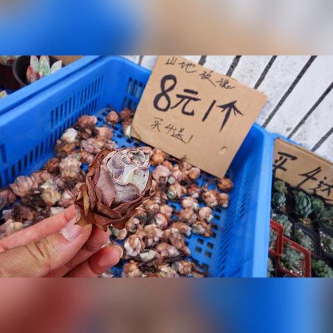 桂林市鹦鹉歌舞厅在哪里