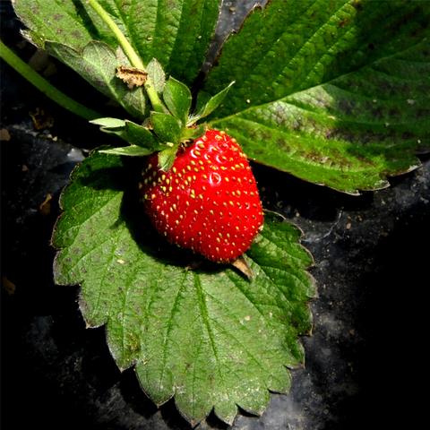 桂林市旅游山庄在哪里