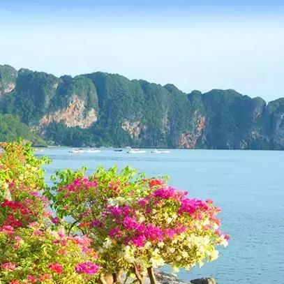 电影暗礁优酷免费观看的长尾关键词有什么