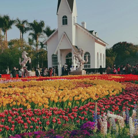 厦门园林博览苑参观路线？