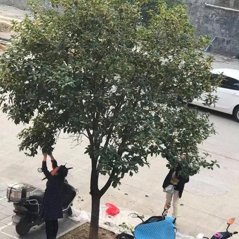 桂林心理咨询机构相关长尾关键词有哪些