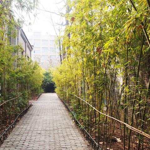 西安市回民街在什么地方