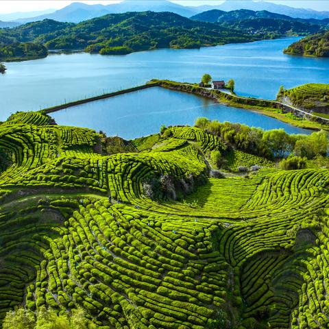 云雾ai人工智能鼠标怎么操作的相关长尾关键词有哪些