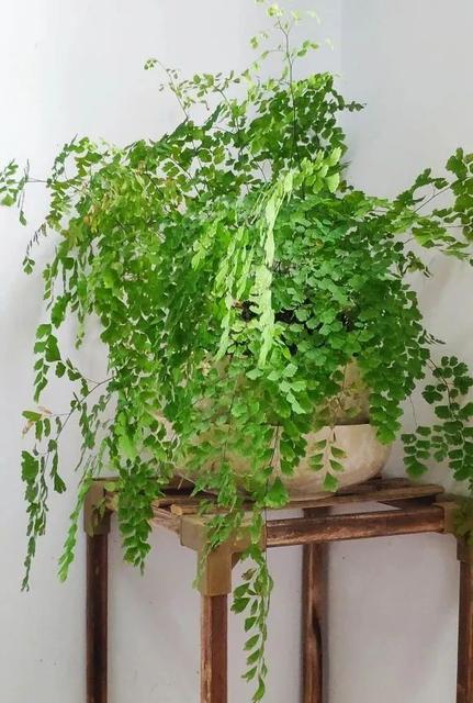 夏天容易中暑是什么原因?