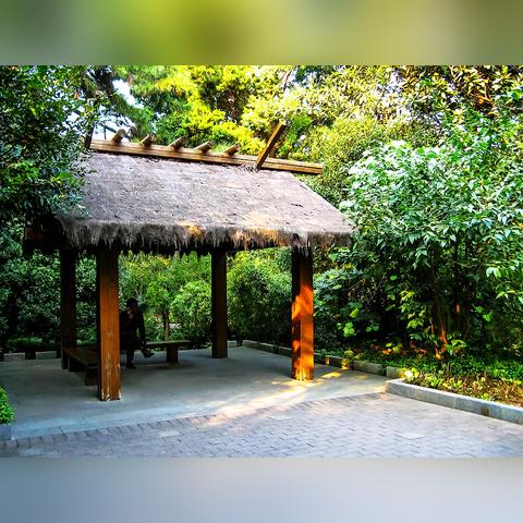 大连市复兴岛是哪个区管辖