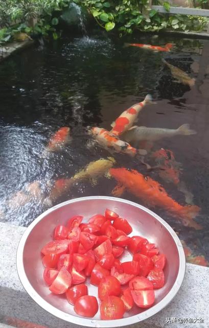 幼儿夏季营养食谱大全