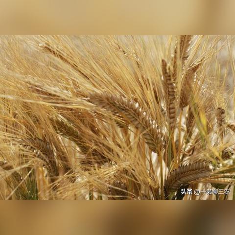 保定市楼盘光照时间的长尾关键词有哪些