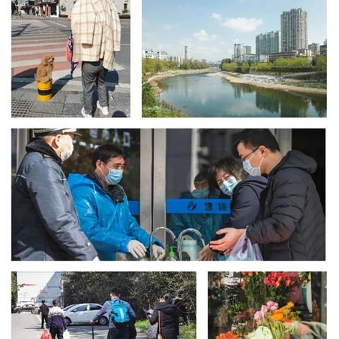 广东佛山市所有花店的长尾关键词有什么