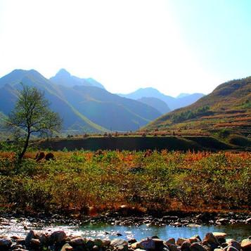 盖州到沈阳多少公里相关长尾关键词有哪些