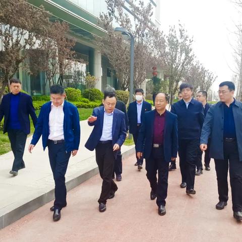 济南市看邯郸市什么方向