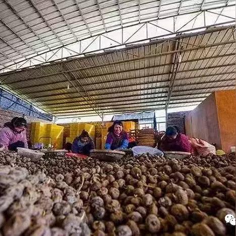 桂林抽拉龙头厂家相关长尾关键词有哪些