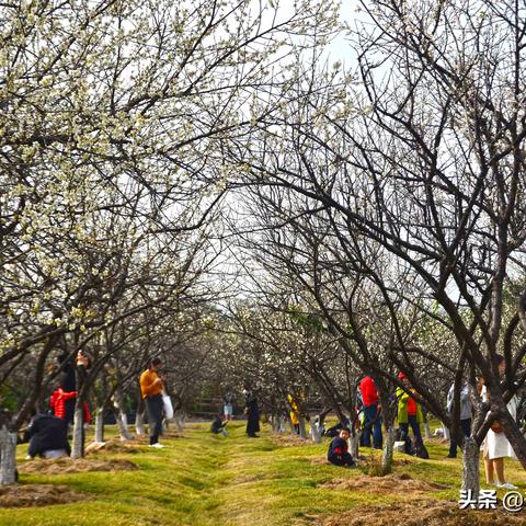 广州市什么地方有雪玩