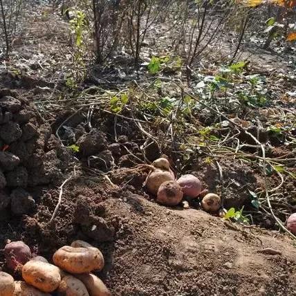 桂林市区烧火烤肉相关长尾关键词有哪些