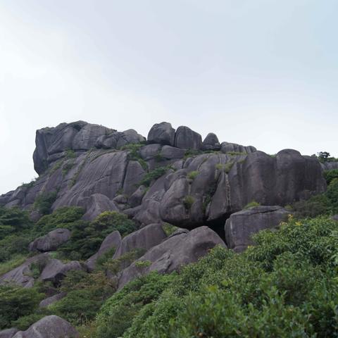 福建最高楼房有多少米？