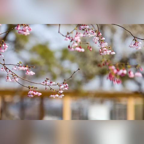 南京国庆节天气怎么样