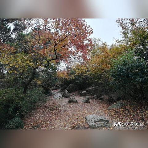 无锡市晚上哪里繁华